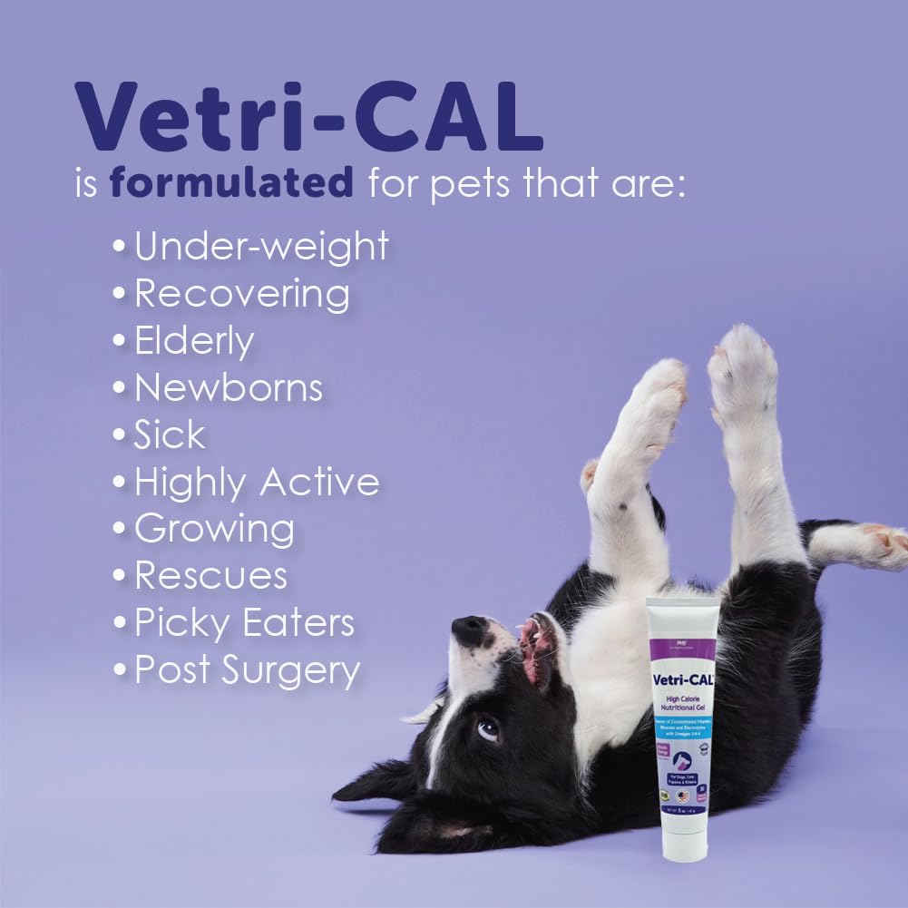 High Calorie Nutritional Gel for Dogs and Cats 5 oz C486370