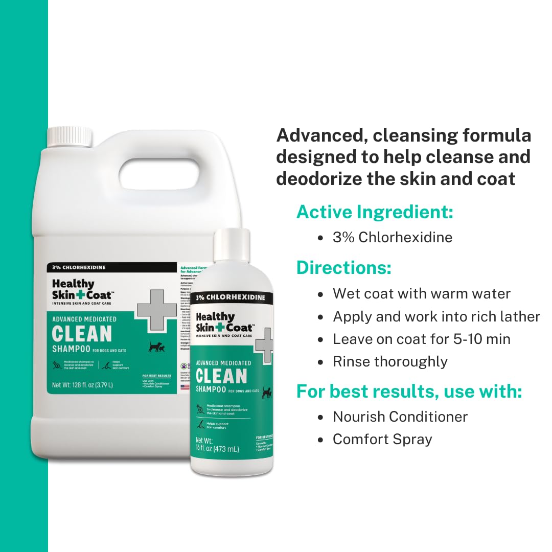 Medicated Chlorhexidine Dog Shampoo 3%, 1 Gallon H679