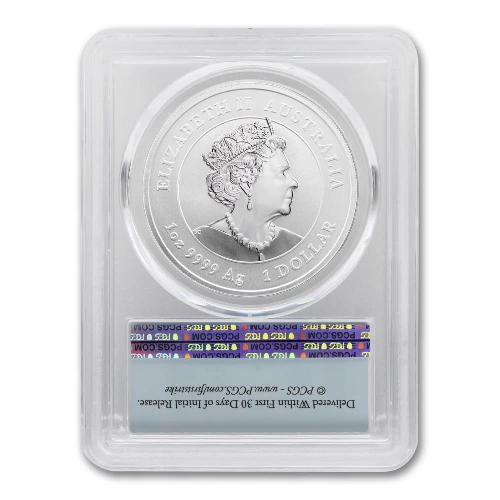 1 oz Silver Year of the Rabbit Coin T9063