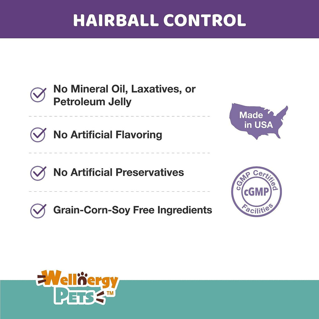Natural Hairball Control Chews for Cats with Omega 3 6 Fatty Acids 70ct V8344