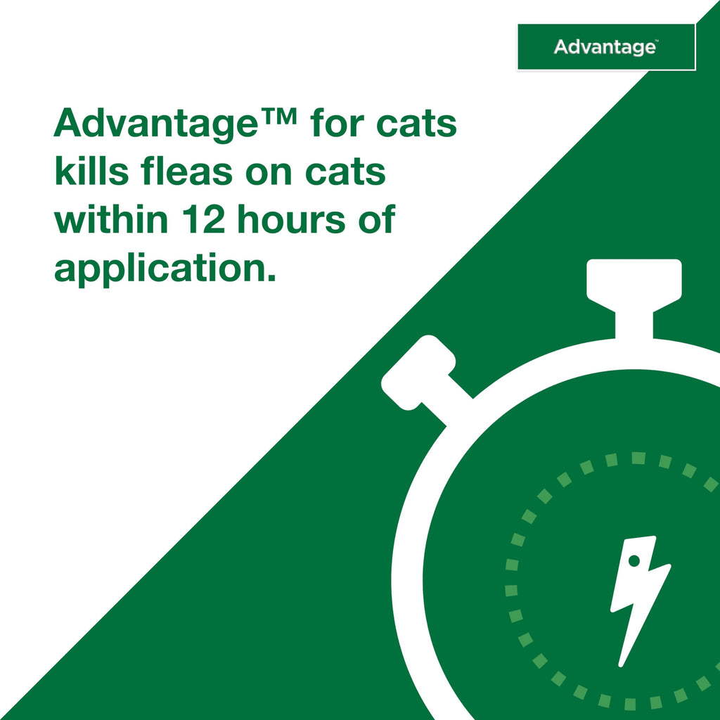 Topical Cat Flea Treatment and Prevention for Large Cats Over 9 lbs O464820