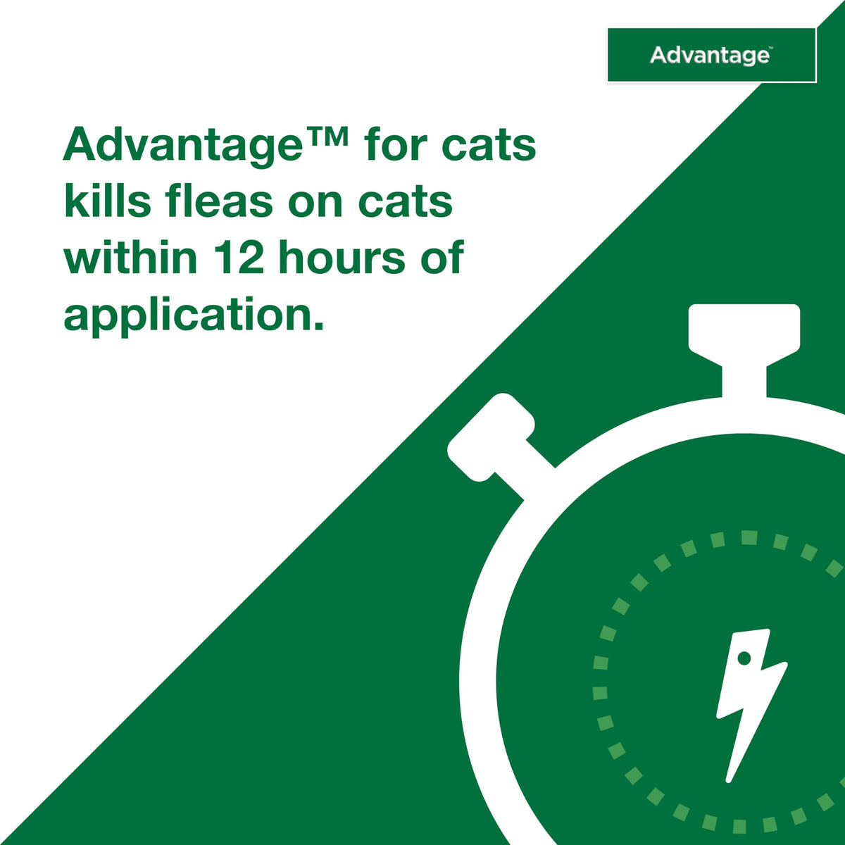 Topical Cat Flea Treatment and Prevention for Large Cats Over 9 lbs O464820