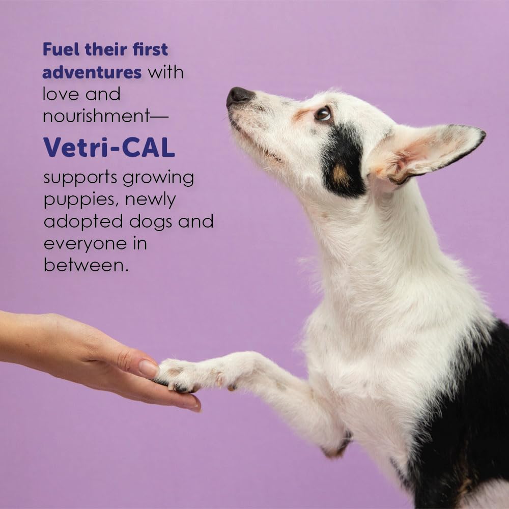 High Calorie Nutritional Gel for Dogs and Cats 5 oz C486370
