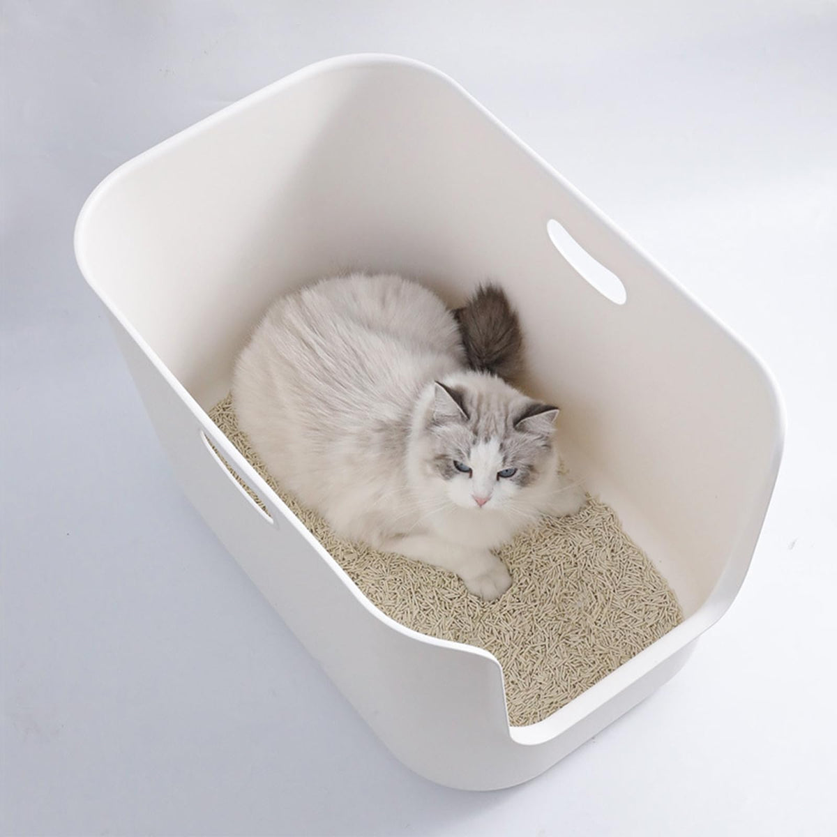 Extra Large High Sides Cat Litter Box S8452