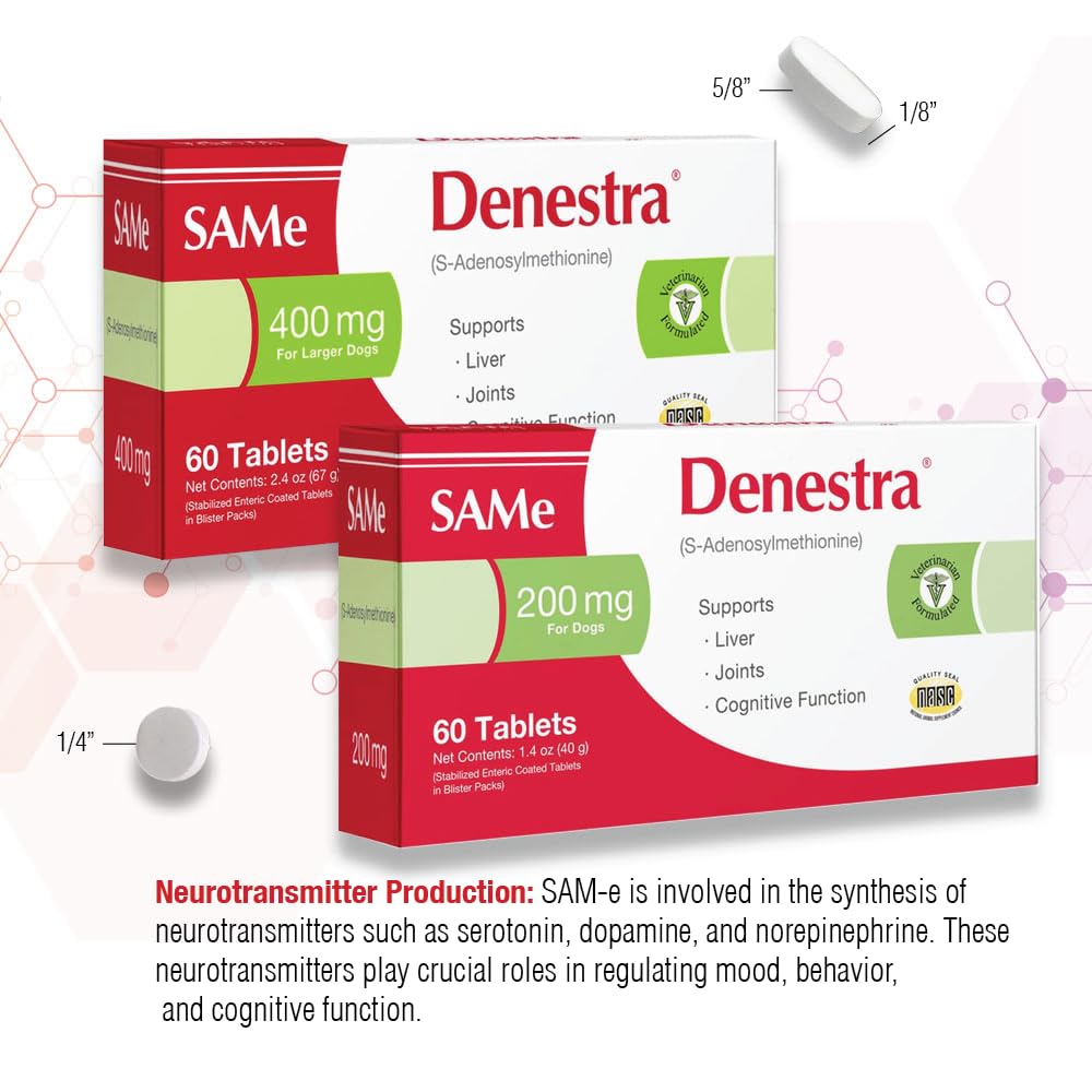 S-Adenosyl-L-Methionine 200 mg 60 Tablets X901