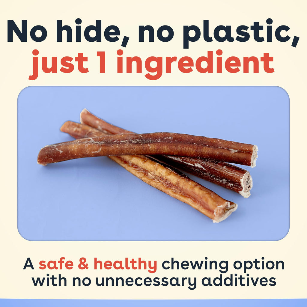 Bully Sticks for Dogs & Puppies, 6", 10 Count P4668