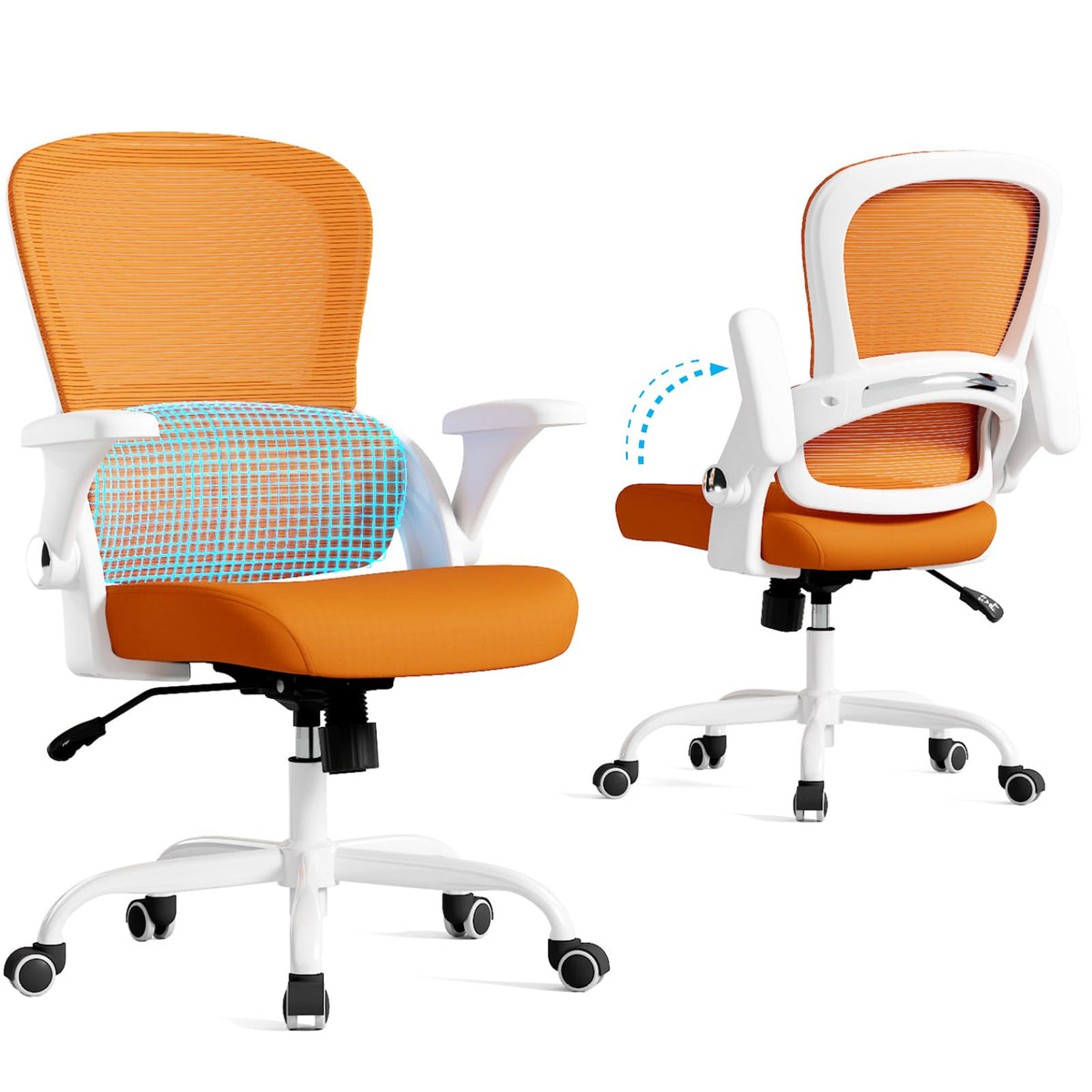Ergonomic Office Chair with Back Support U21873