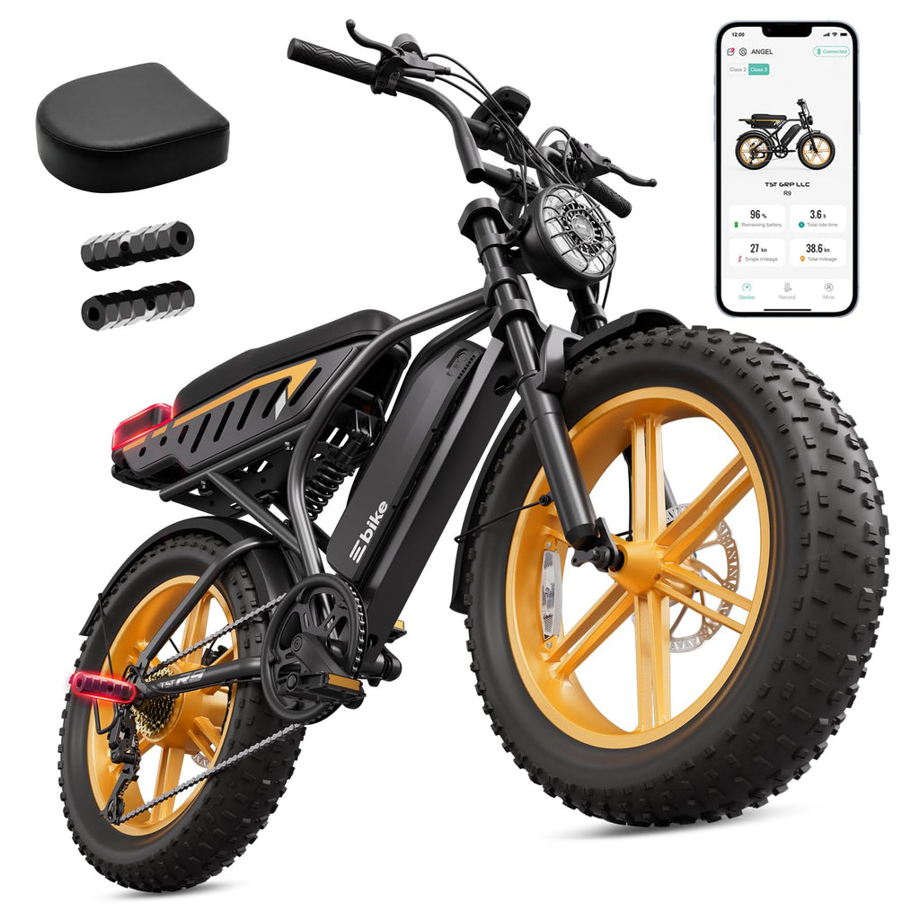 48V 2000W Peak Motor 20 * 4.0 Fat Tire Electric Bike B6270