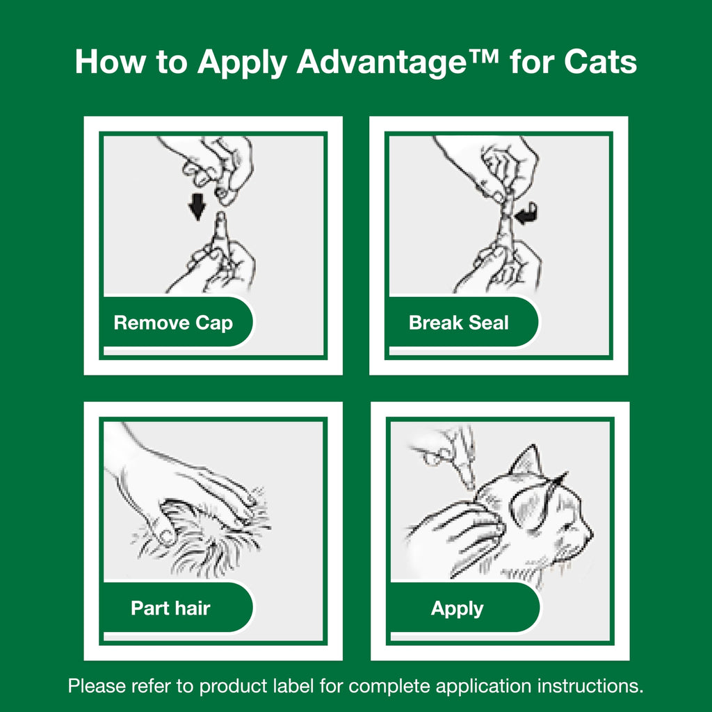 Topical Cat Flea Treatment and Prevention for Large Cats Over 9 lbs O464820