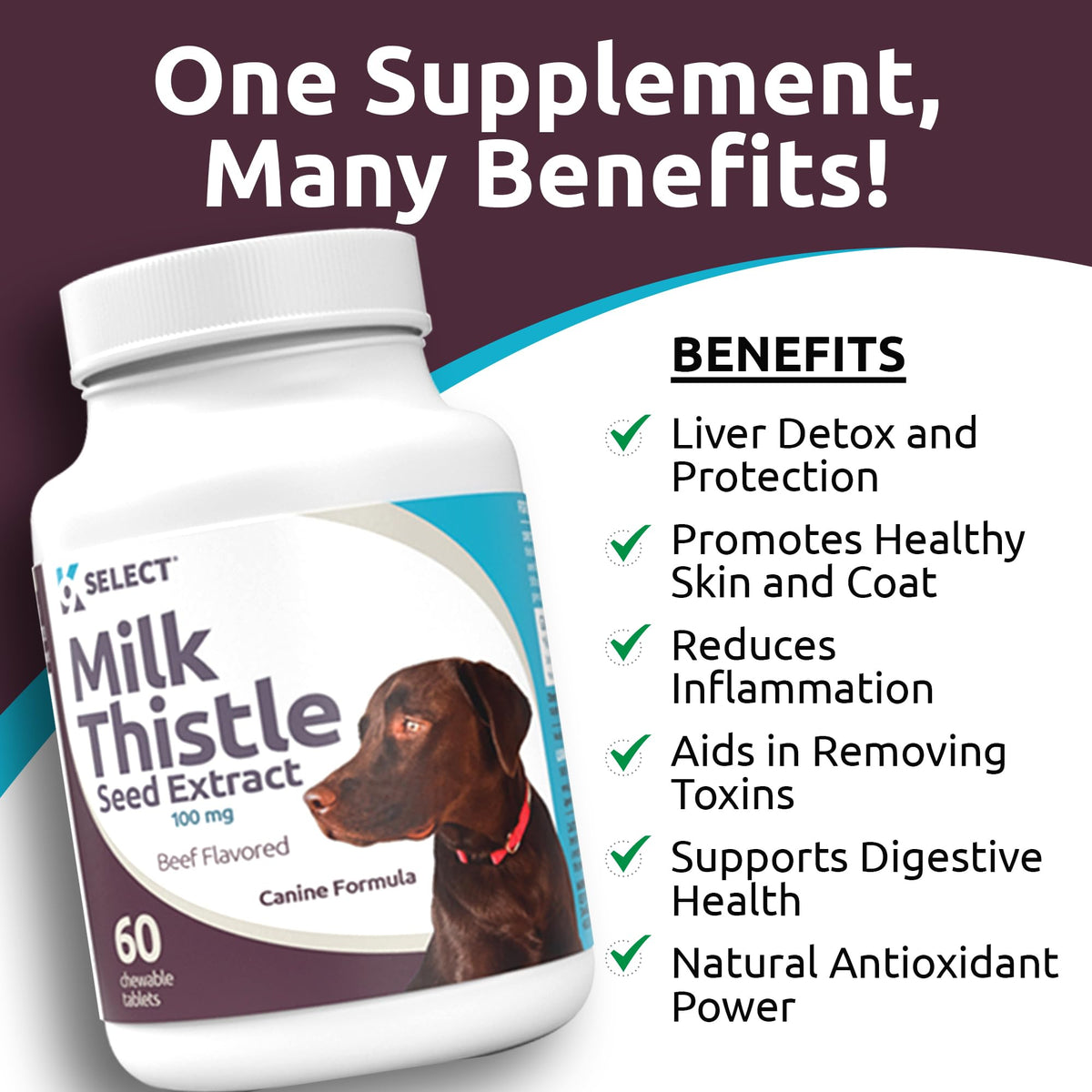 Milk Thistle Liver Support 60 Beef Chewable Tablets L850