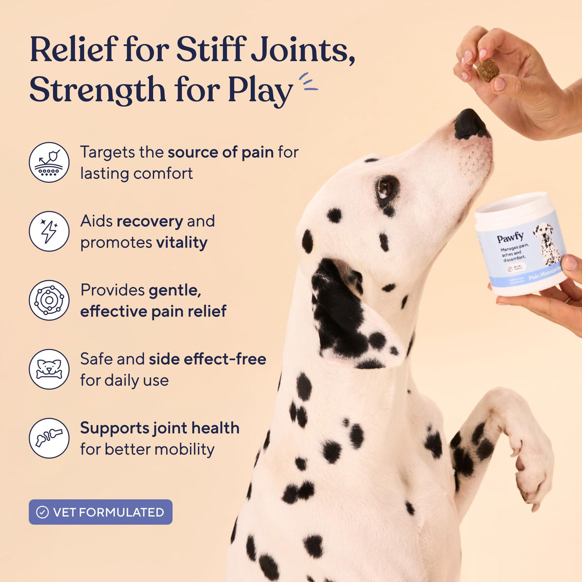 Hip & Joint Supplement for Dogs H556