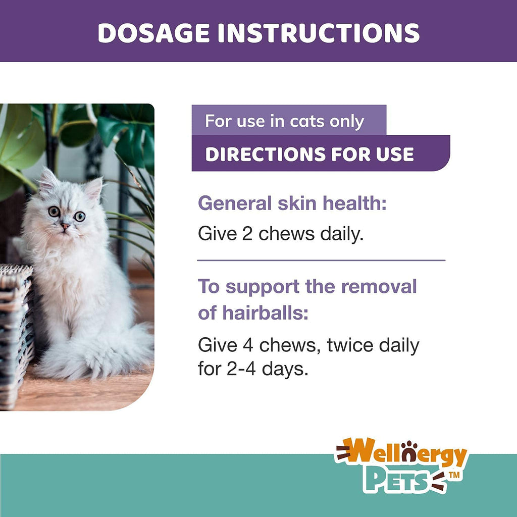 Natural Hairball Control Chews for Cats with Omega 3 6 Fatty Acids 70ct V8344