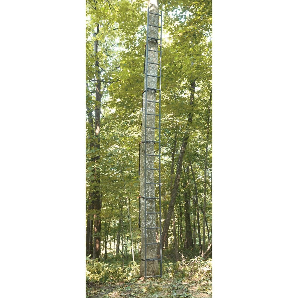 Ladder Climbing Equipment W63140