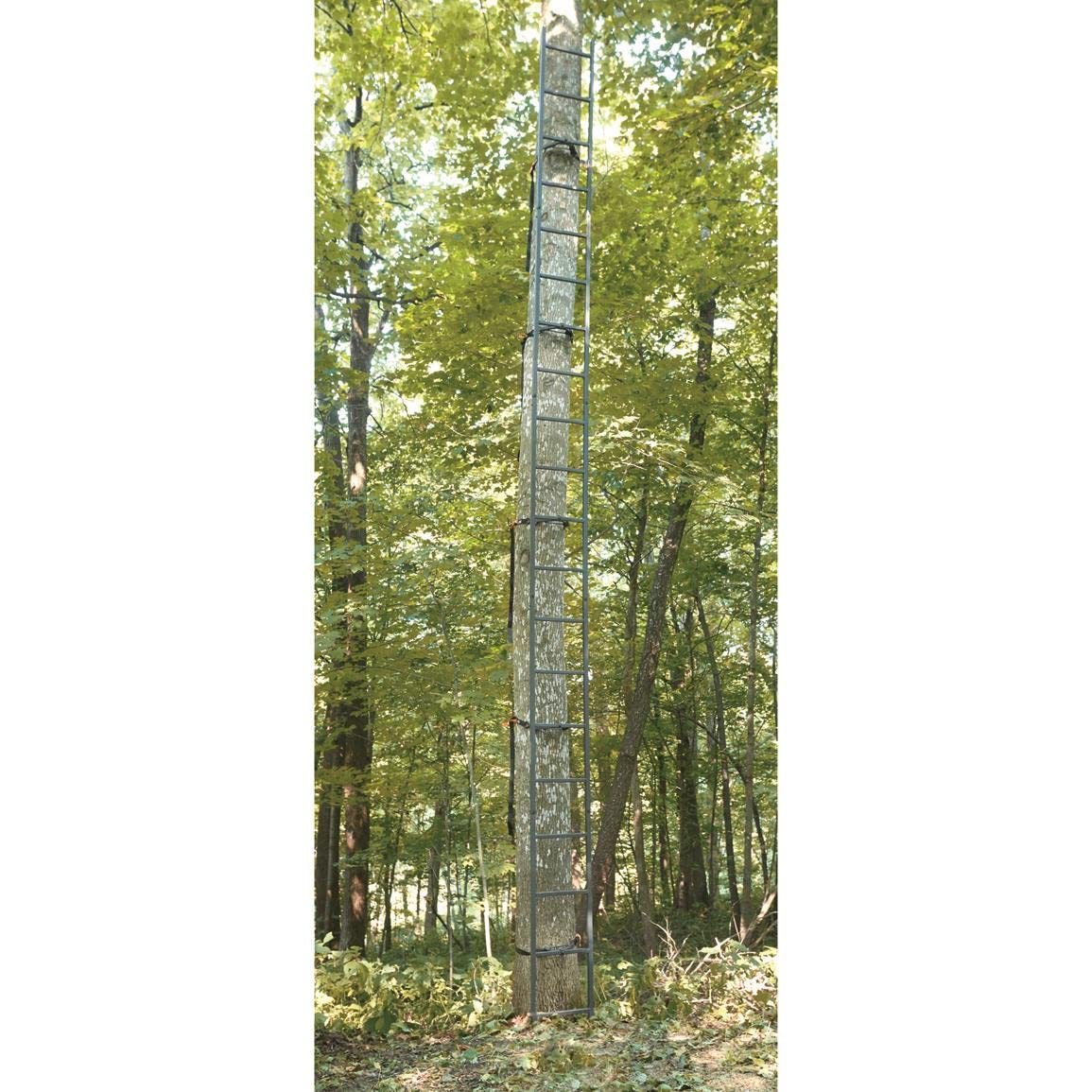 Ladder Climbing Equipment W63140