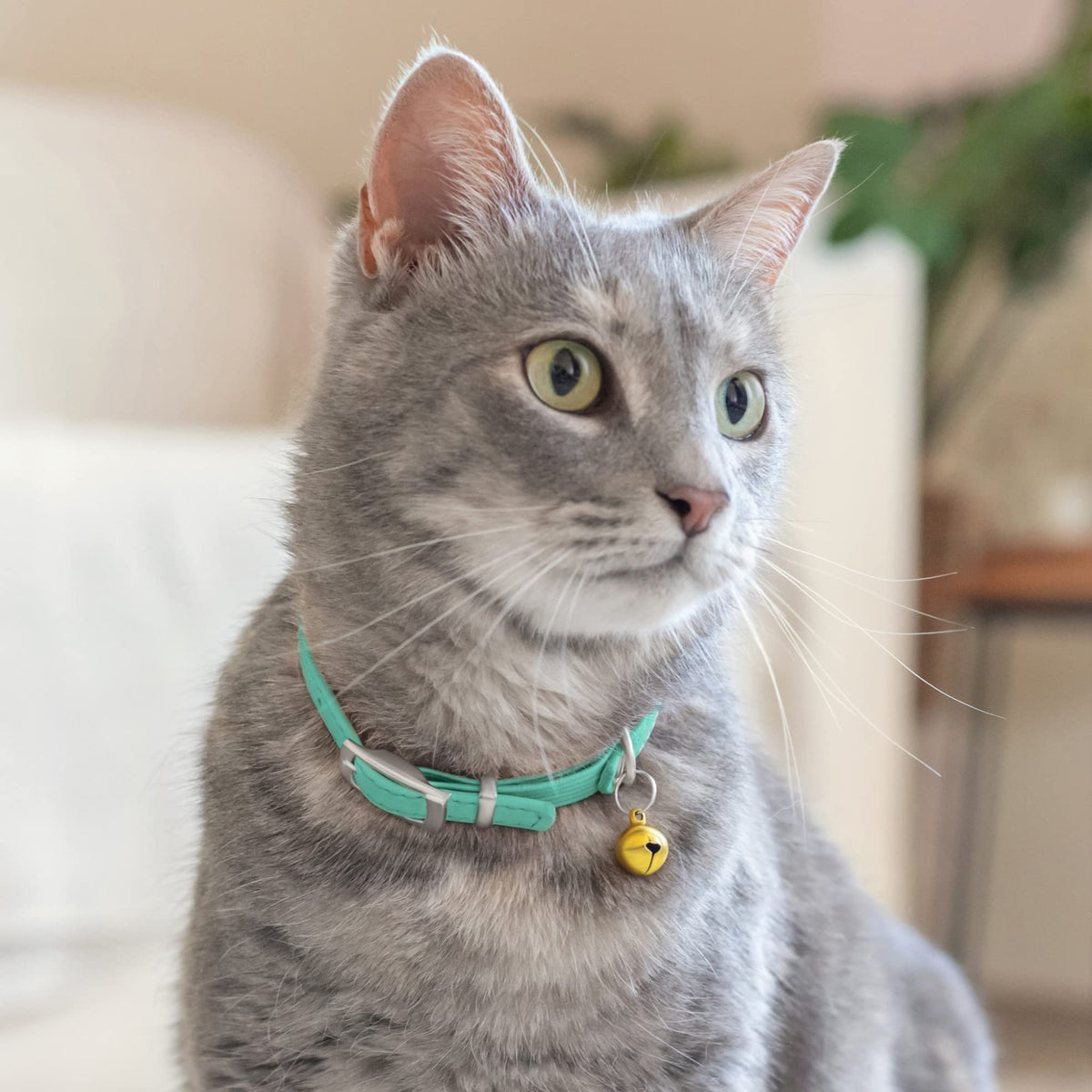Soft Leather Cat Collar with Safety Elastic Strap R98315