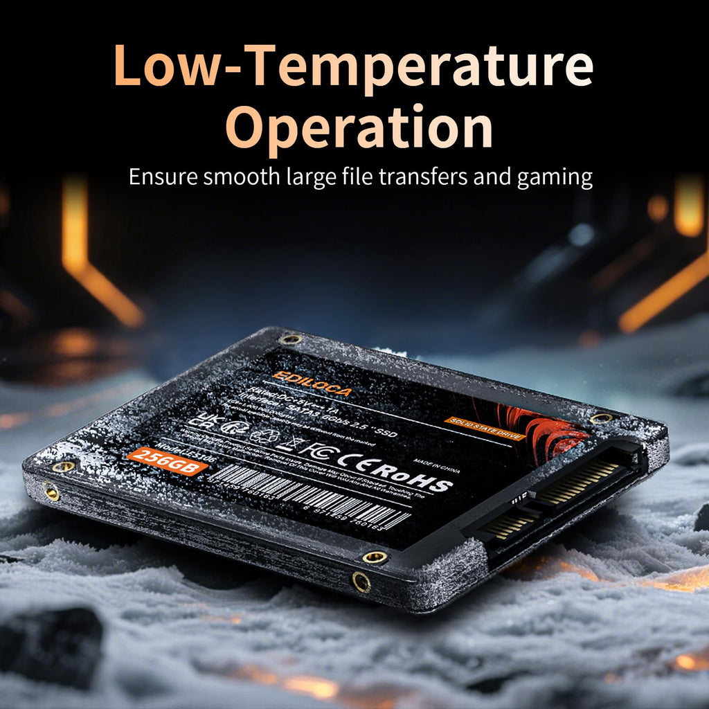 256GB 2.5" SATA III Internal Solid State Drive L549941
