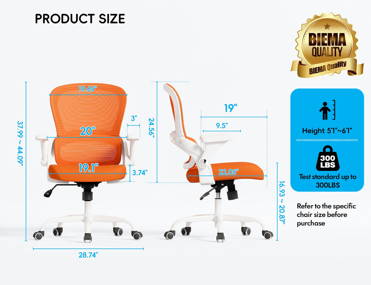 Ergonomic Office Chair with Back Support U21873