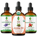 Rosehip Lavender Trio Glass Bottles with Droppers 4 Fl oz M175487