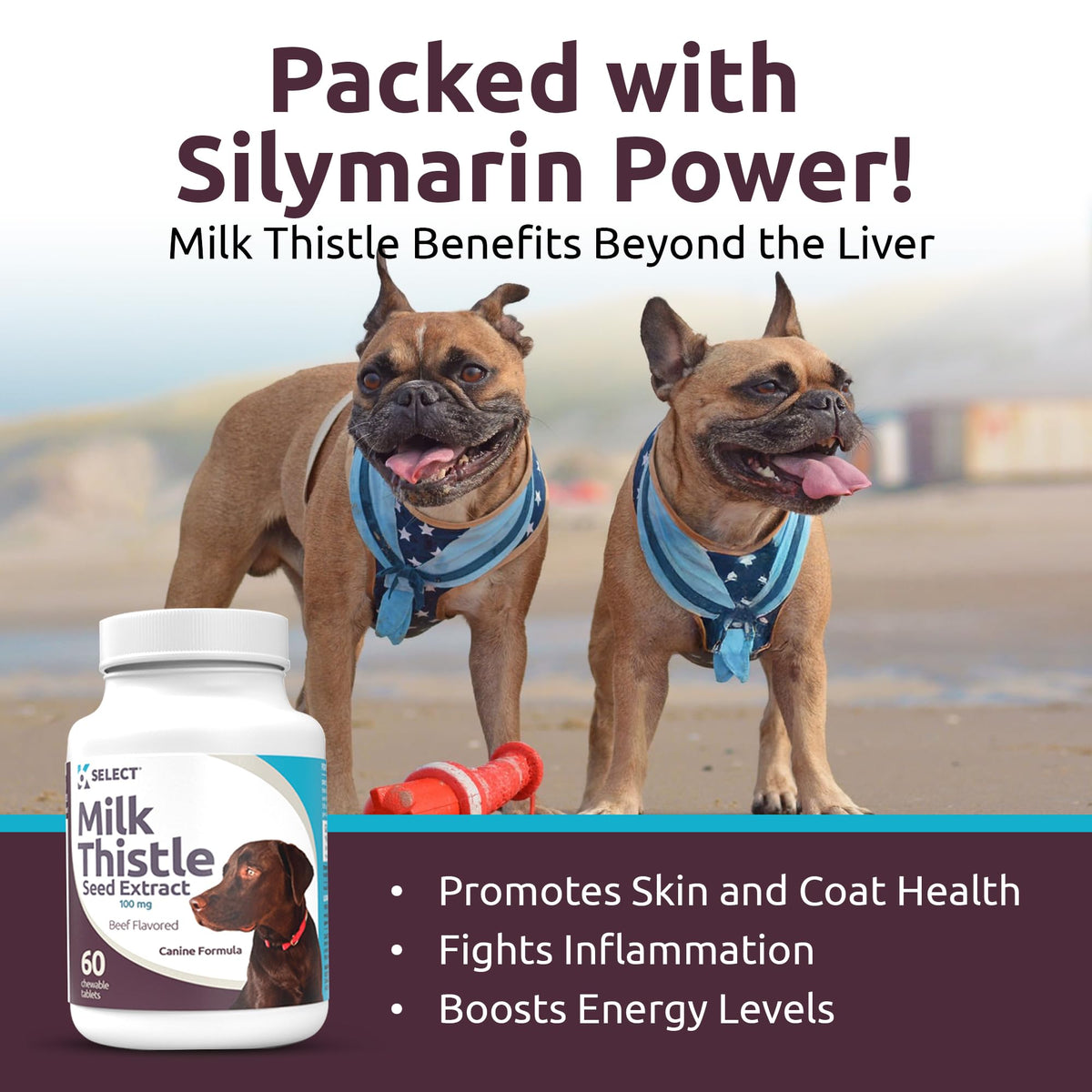 Milk Thistle Liver Support 60 Beef Chewable Tablets L850