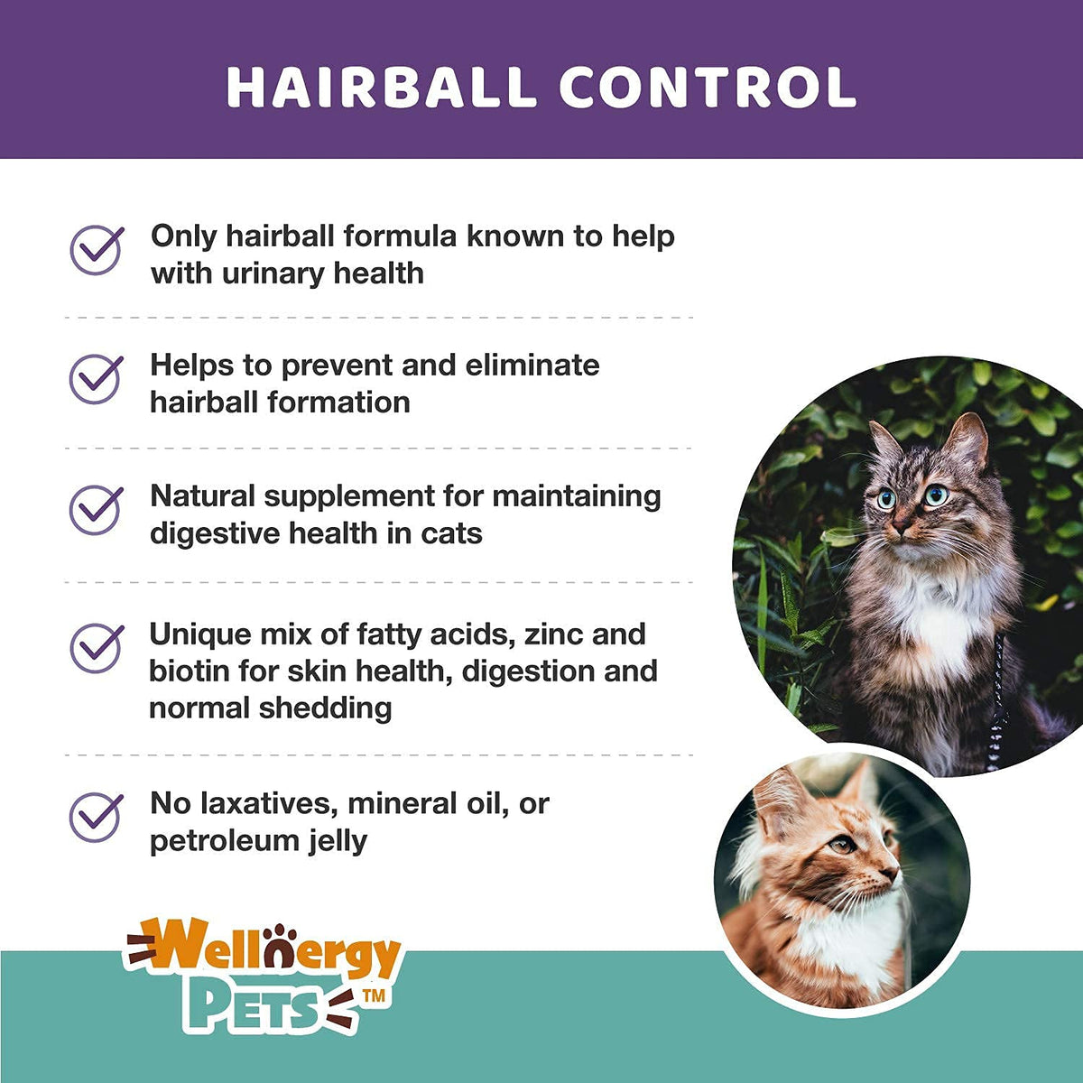 Natural Hairball Control Chews for Cats with Omega 3 6 Fatty Acids 70ct V8344