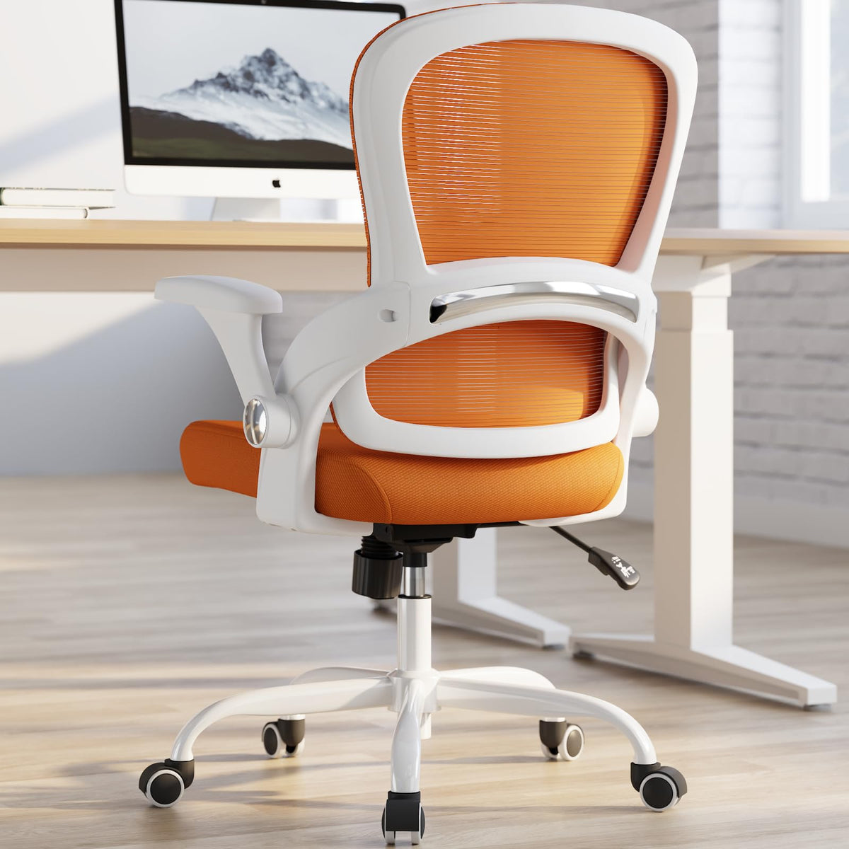 Ergonomic Office Chair with Back Support U21873