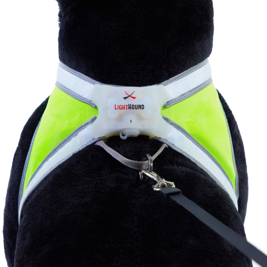 Reflective Light Up Dog Harness Large T877476