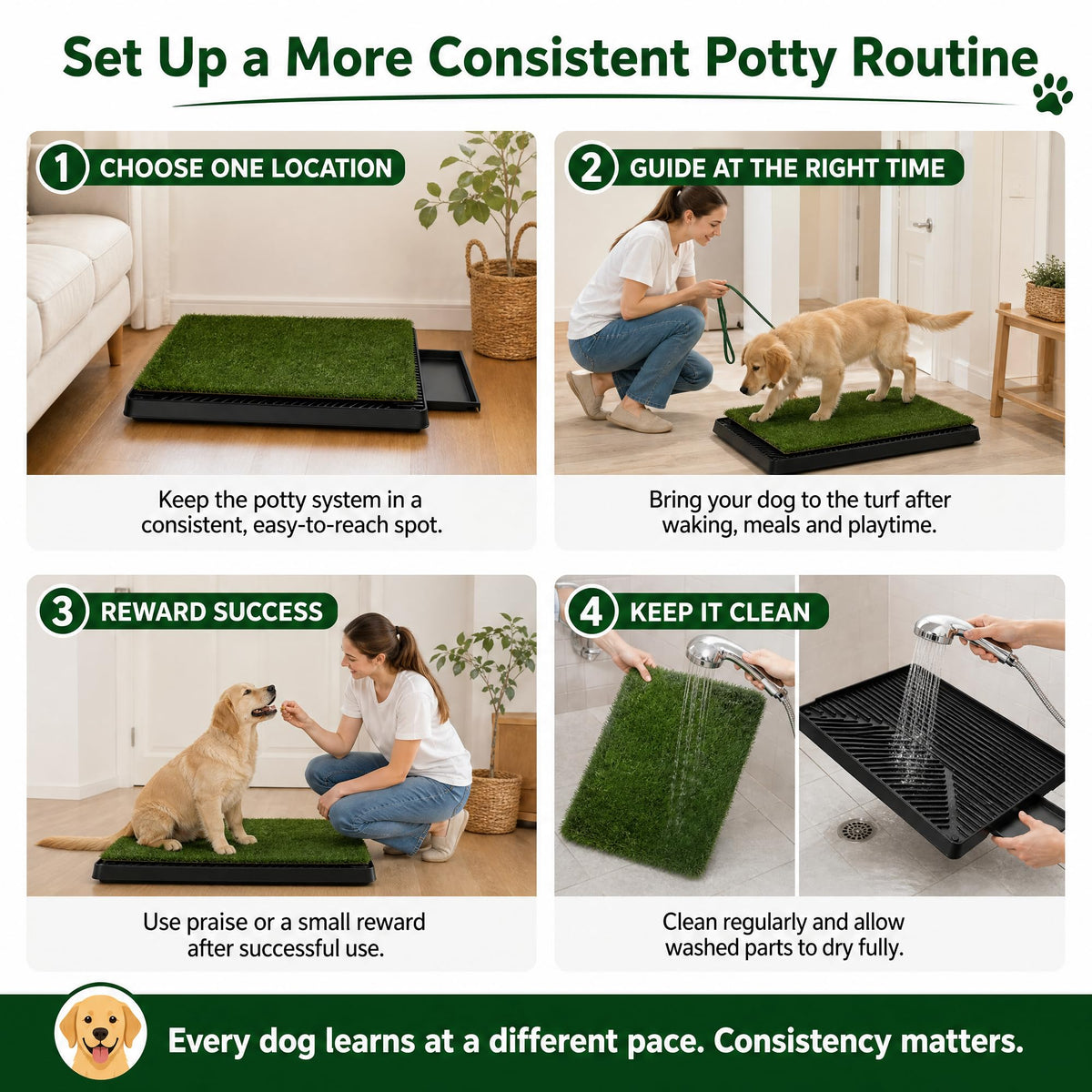 25 x 20 in Dog Grass Pad with Tray B653656