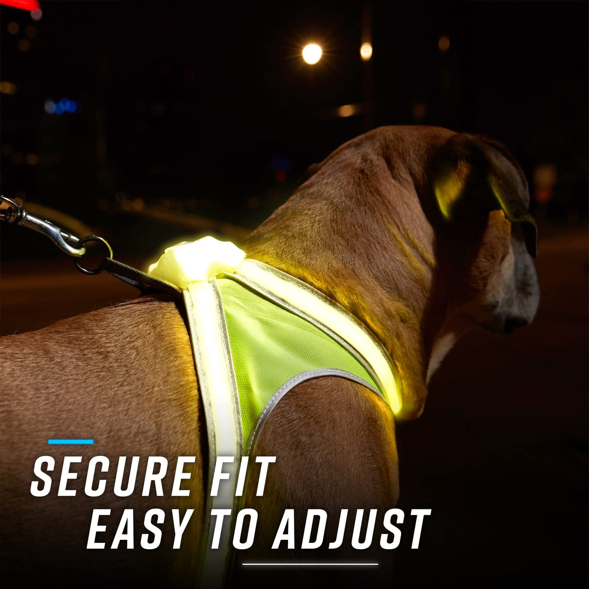 Reflective Light Up Dog Harness Large T877476