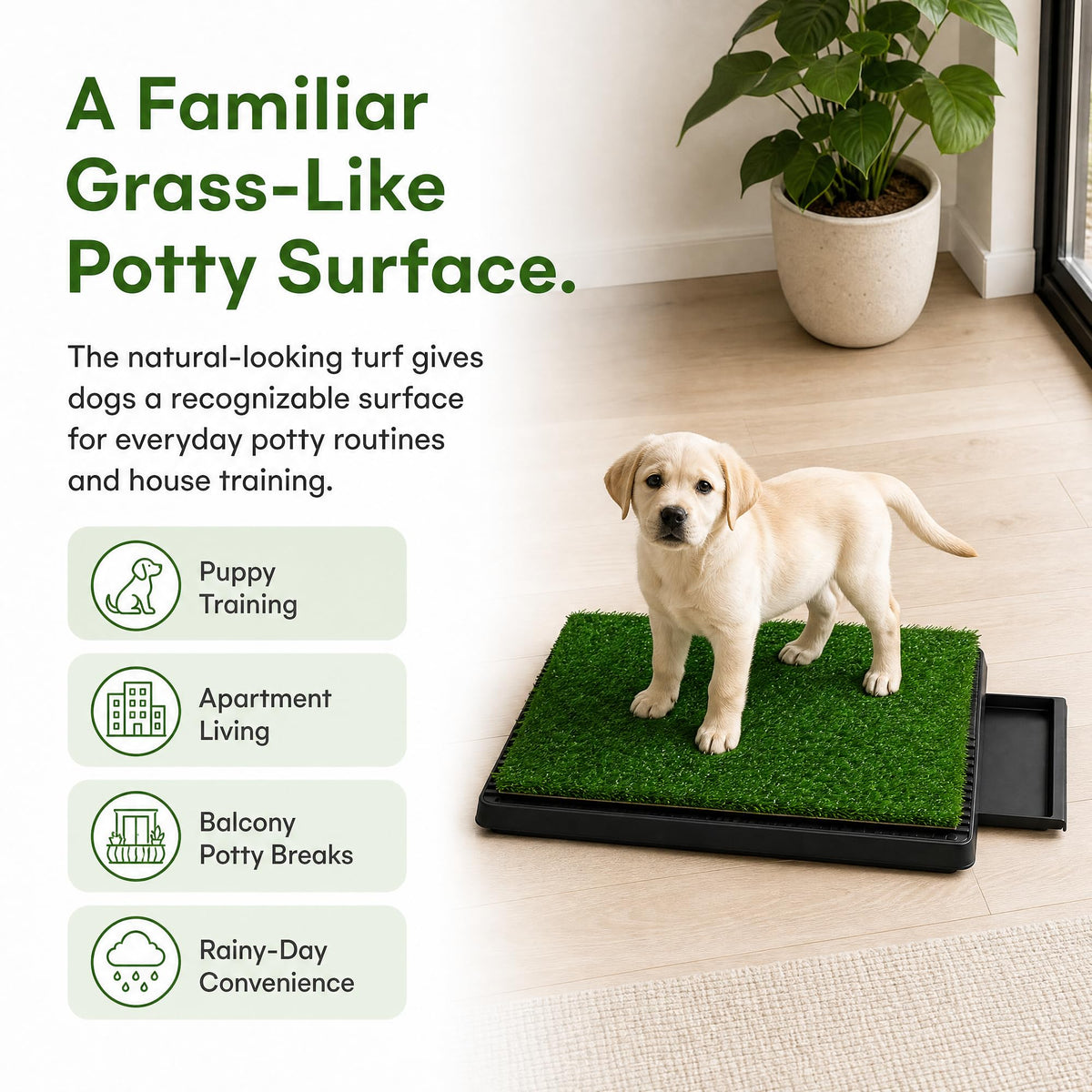 25 x 20 in Dog Grass Pad with Tray B653656