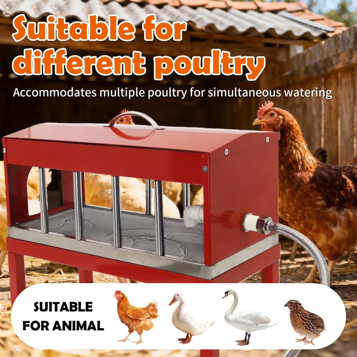 Automatic Stainless Steel Poultry Waterer with Float Valve B103659
