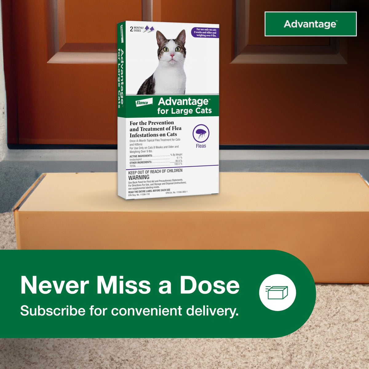 Topical Cat Flea Treatment and Prevention for Large Cats Over 9 lbs O464820