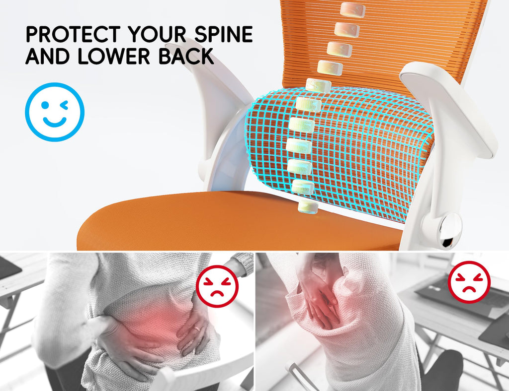 Ergonomic Office Chair with Back Support U21873