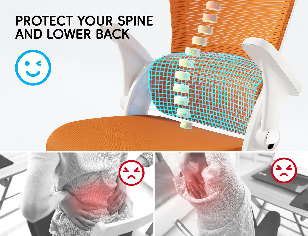 Ergonomic Office Chair with Back Support U21873
