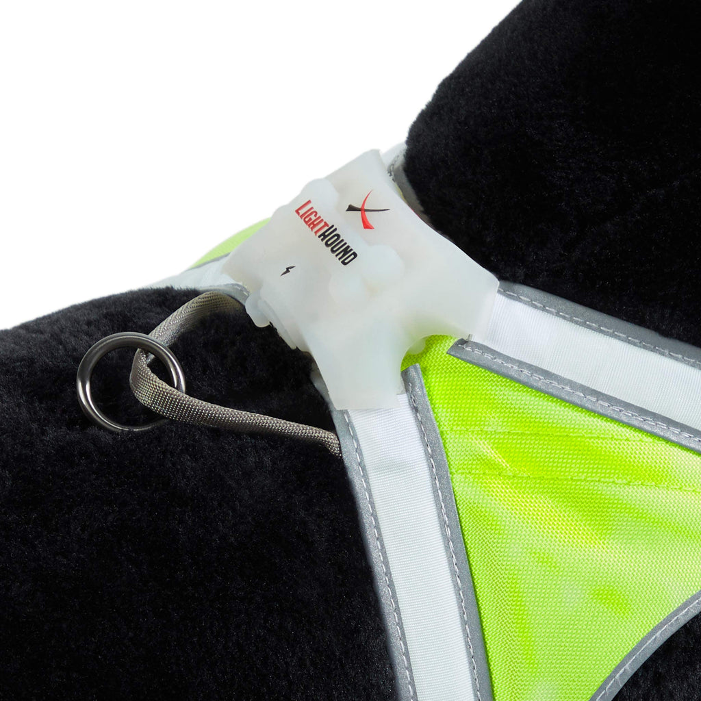 Reflective Light Up Dog Harness Large T877476