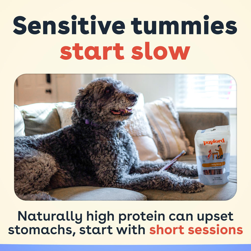 Bully Sticks for Dogs & Puppies, 6", 10 Count P4668