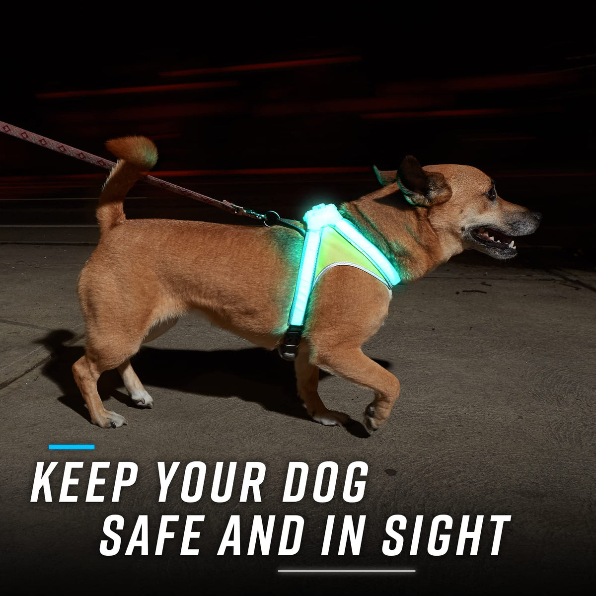 Reflective Light Up Dog Harness Large T877476