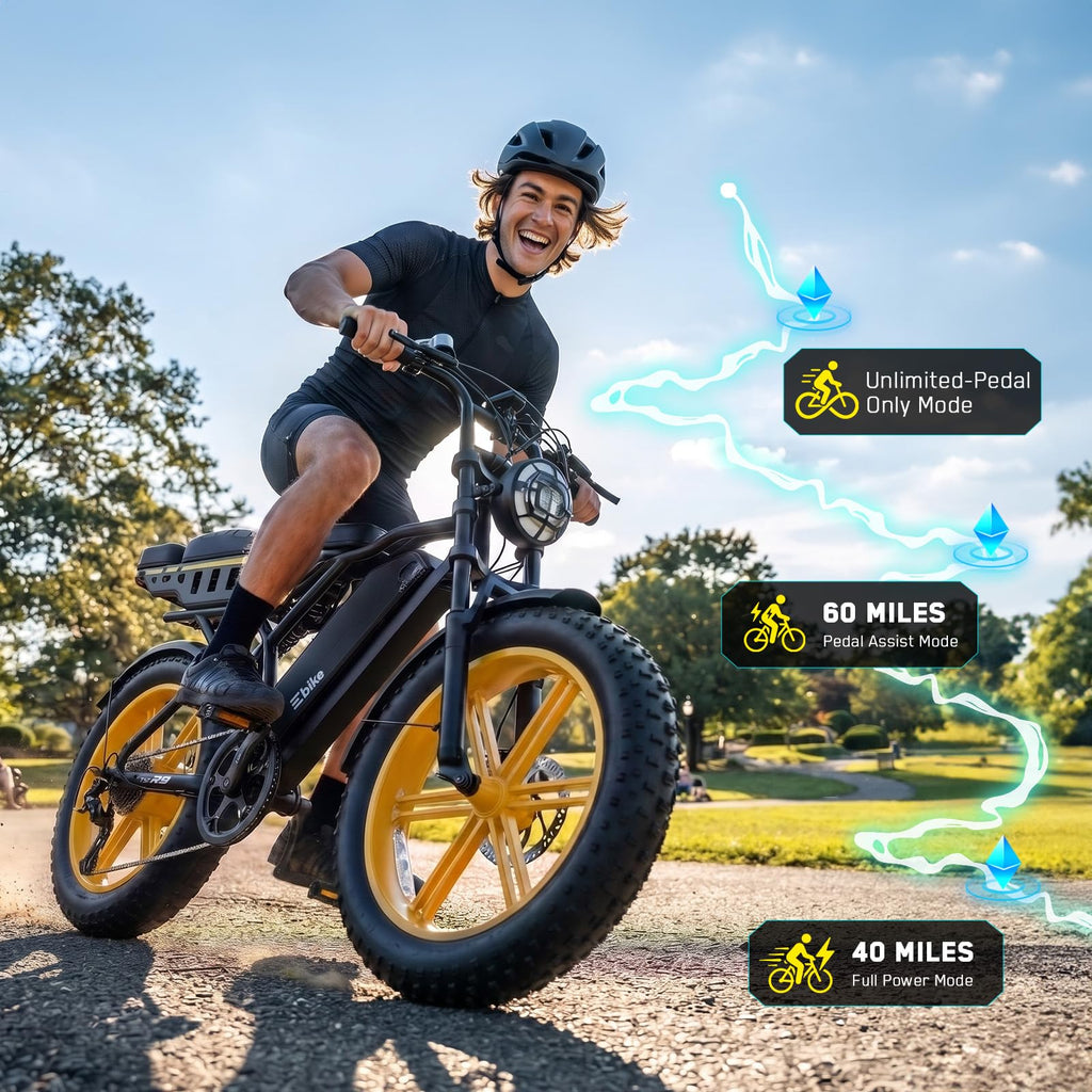48V 2000W Peak Motor 20 * 4.0 Fat Tire Electric Bike B6270