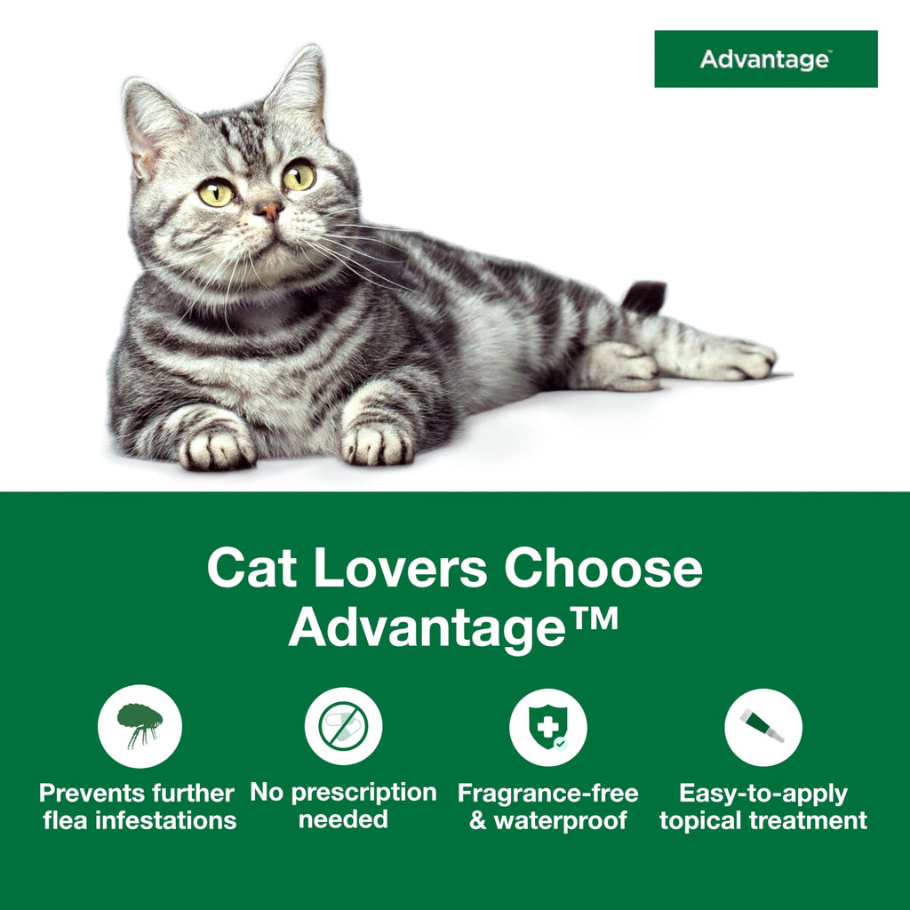 Topical Cat Flea Treatment and Prevention for Large Cats Over 9 lbs O464820
