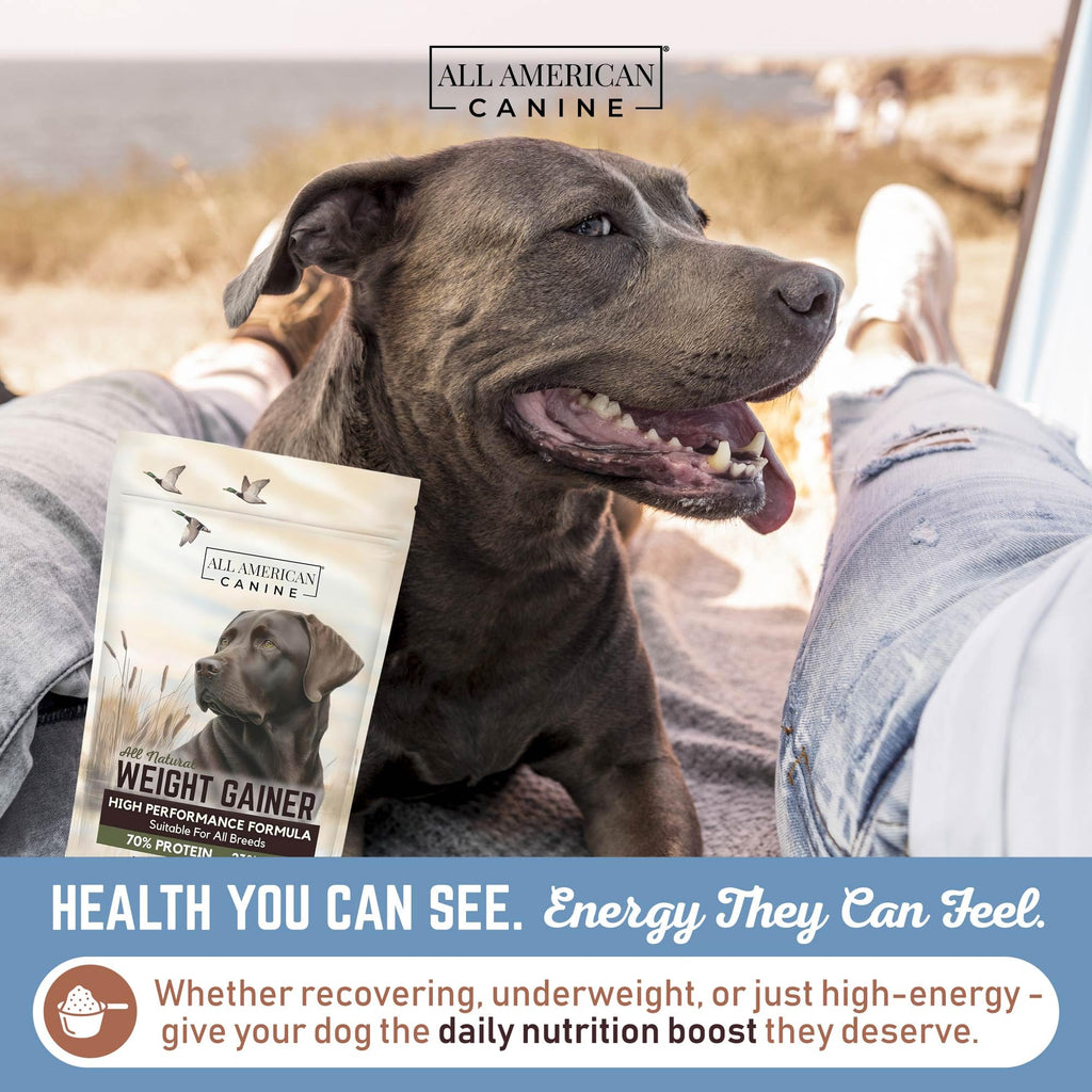 High Calorie Dog Weight Gainer Powder 60 Servings F895585
