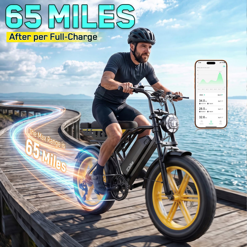 48V 2000W Peak Motor 20 * 4.0 Fat Tire Electric Bike B6270