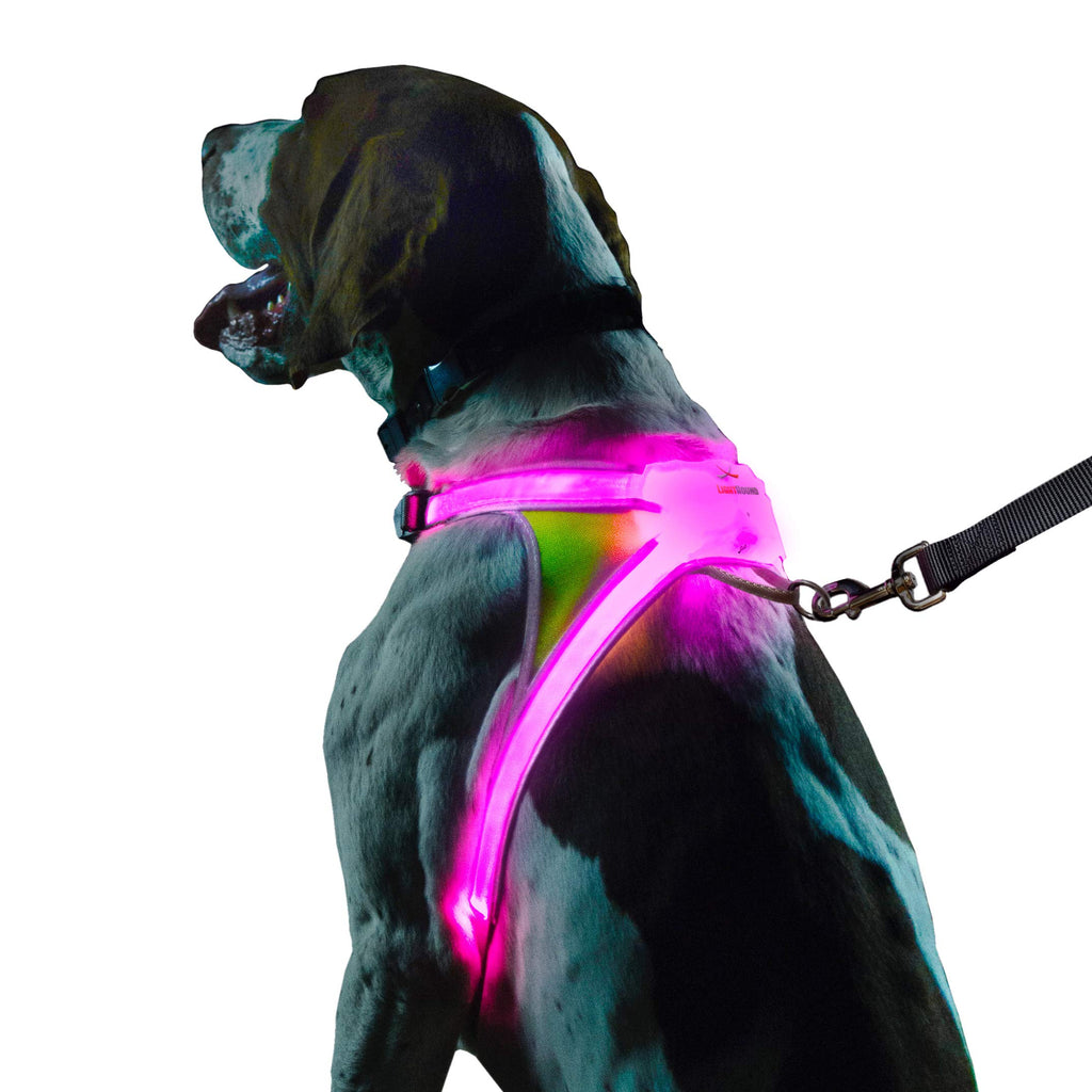 Reflective Light Up Dog Harness Large T877476