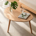 Small Oval Solid Wood Coffee Table P81374