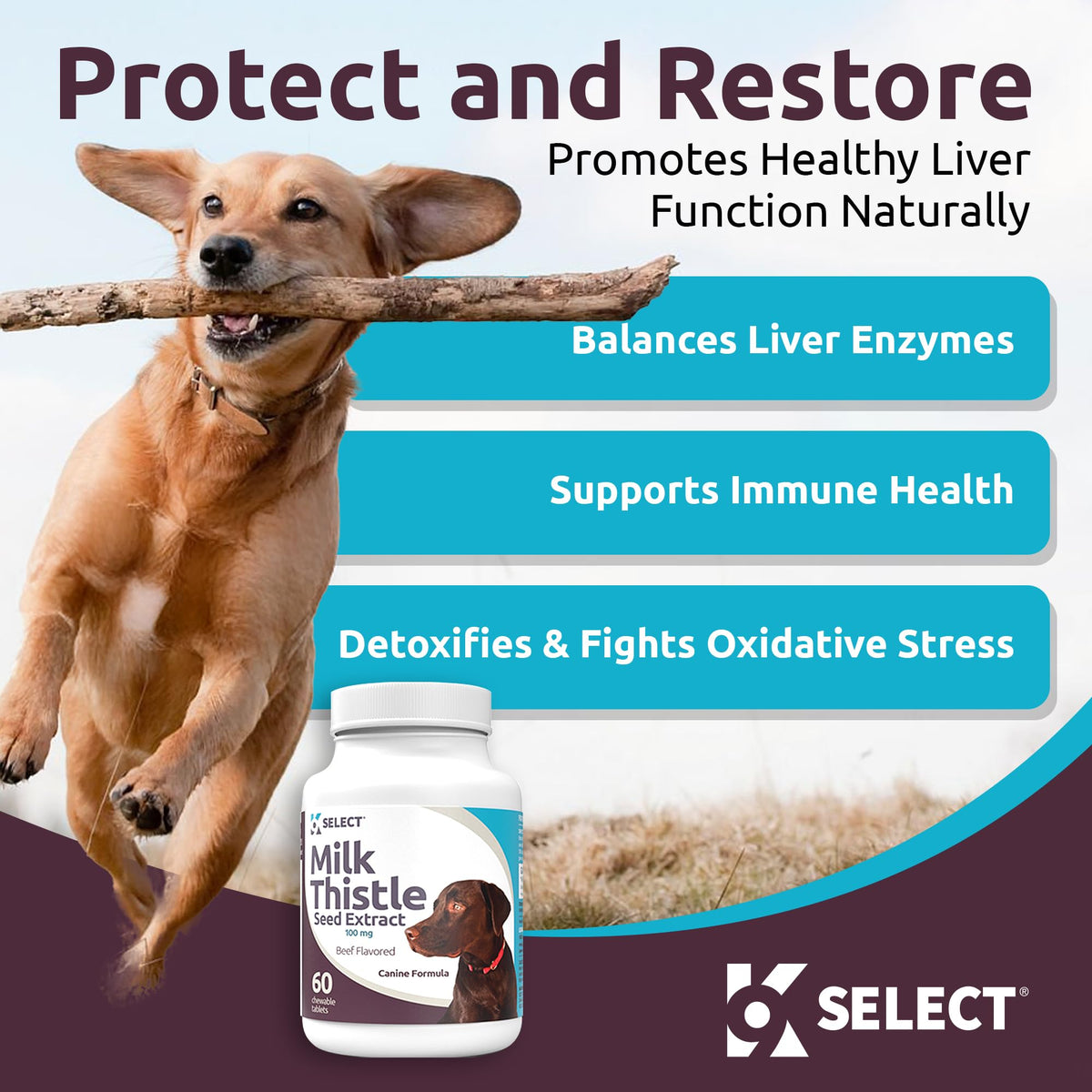 Milk Thistle Liver Support 60 Beef Chewable Tablets L850