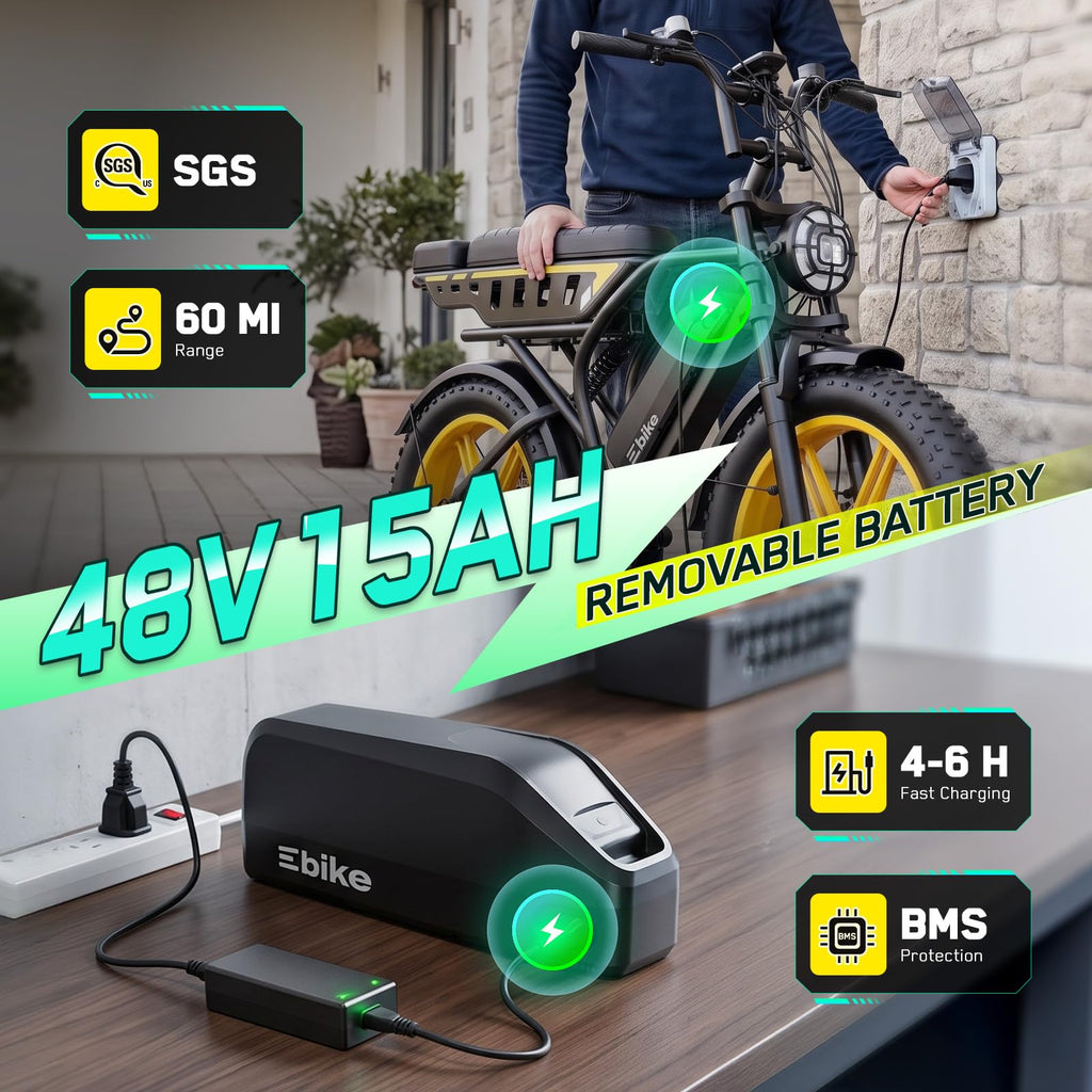 48V 2000W Peak Motor 20 * 4.0 Fat Tire Electric Bike B6270
