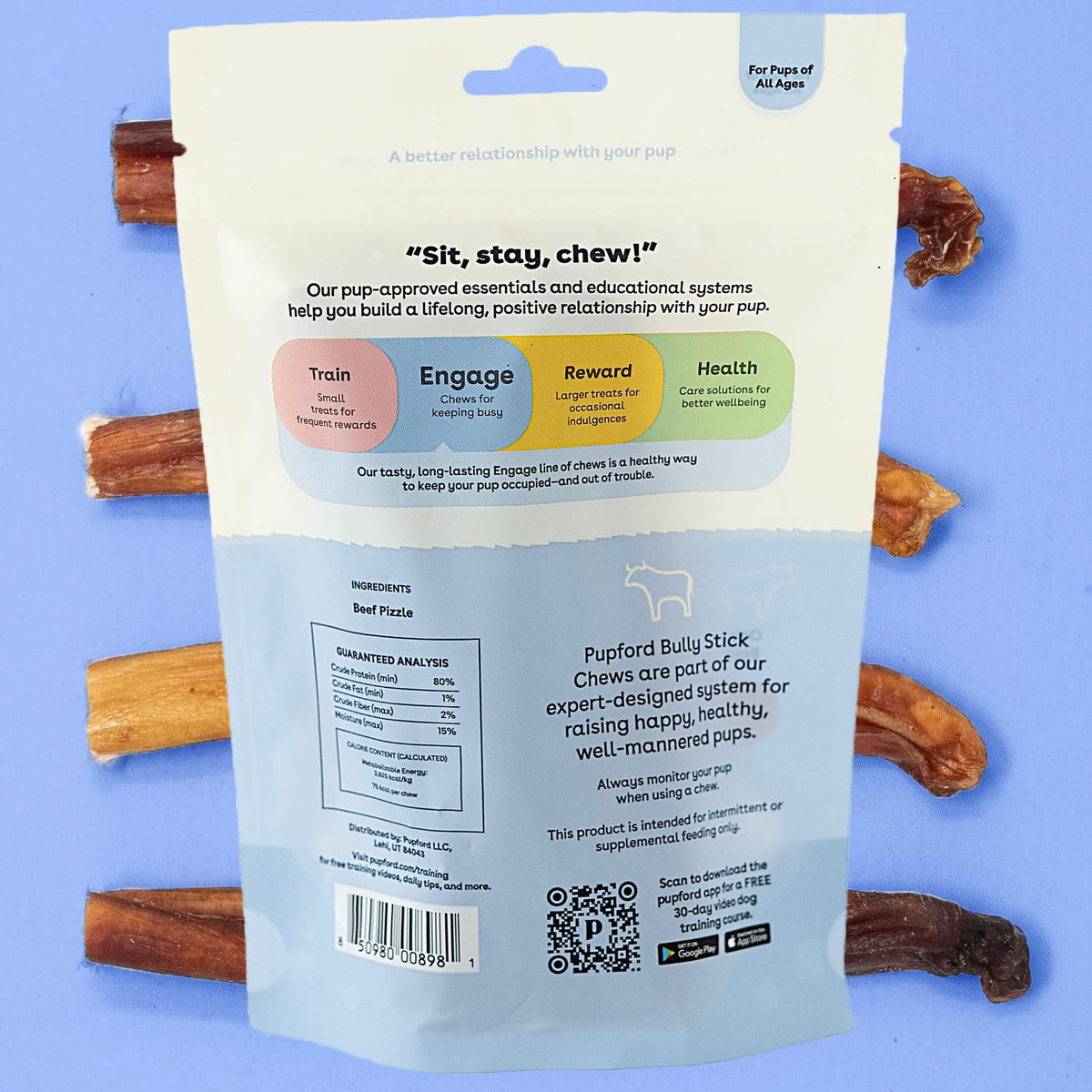 Bully Sticks for Dogs & Puppies, 6", 10 Count P4668