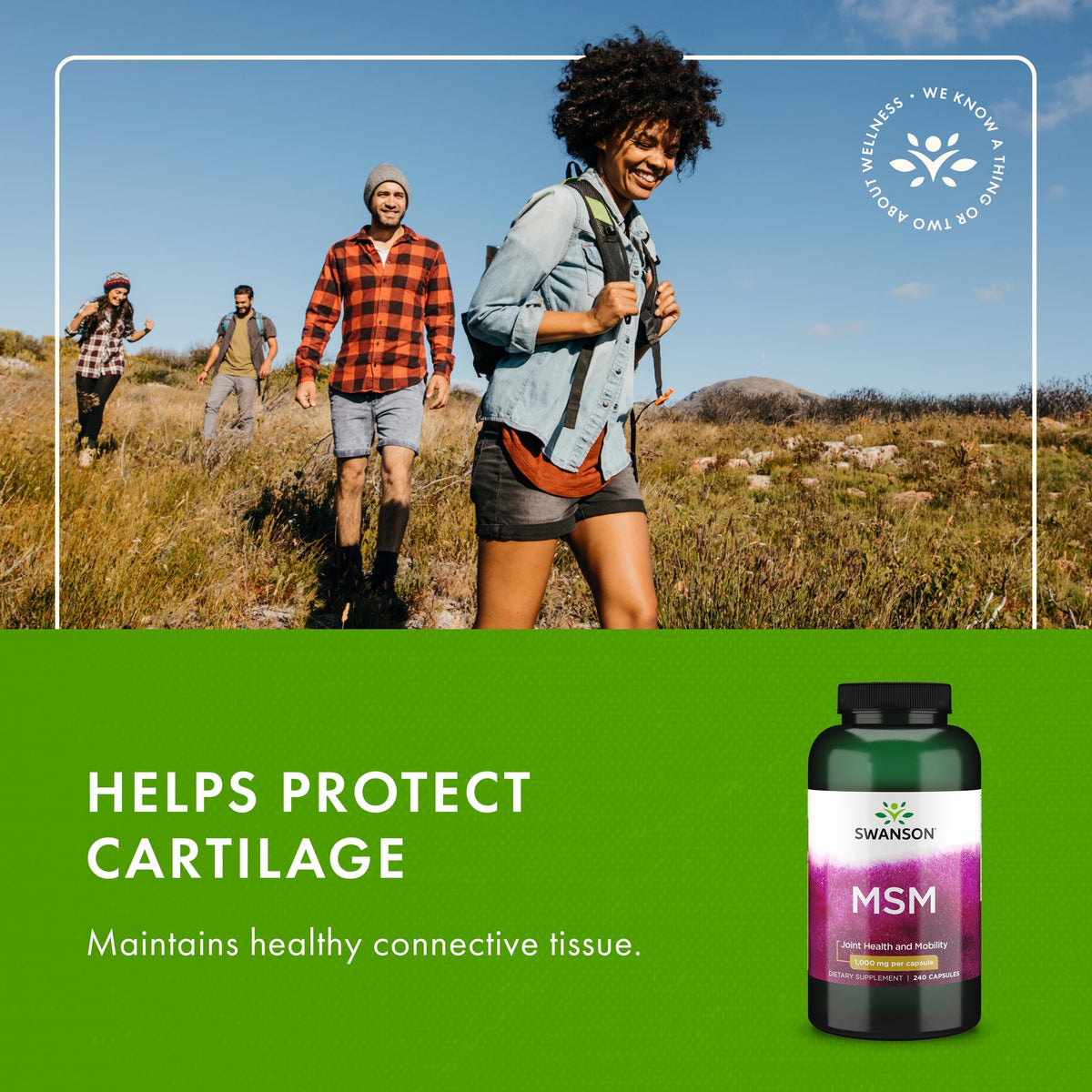 MSM Joint Health Supplement, 1000 mg, 240 Capsules P2289